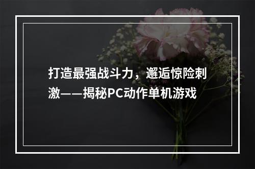 打造最强战斗力，邂逅惊险刺激——揭秘PC动作单机游戏