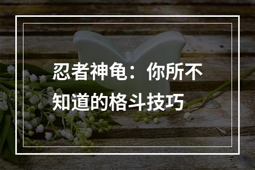 忍者神龟：你所不知道的格斗技巧