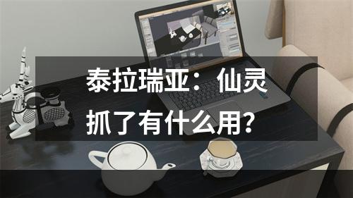 泰拉瑞亚：仙灵抓了有什么用？