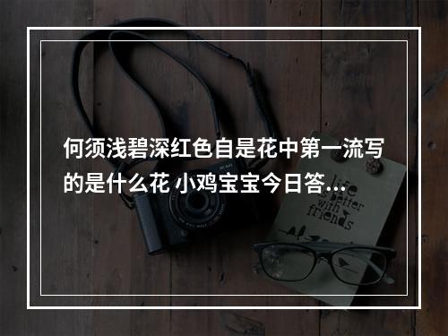 何须浅碧深红色自是花中第一流写的是什么花 小鸡宝宝今日答案早知道2月21日--手游攻略网