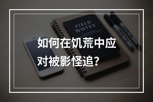 如何在饥荒中应对被影怪追？