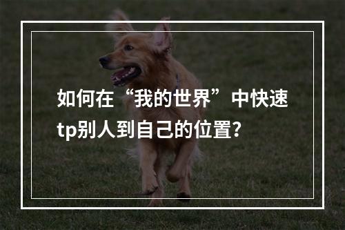 如何在“我的世界”中快速tp别人到自己的位置？