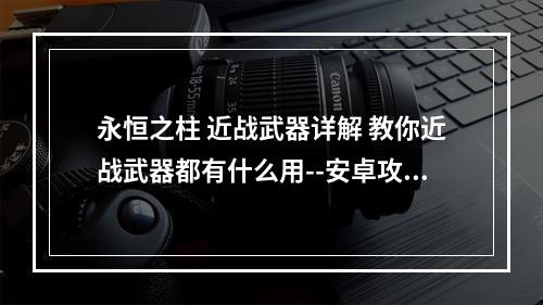 永恒之柱 近战武器详解 教你近战武器都有什么用--安卓攻略网