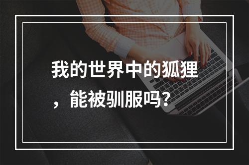 我的世界中的狐狸，能被驯服吗？