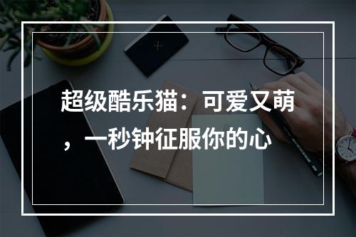 超级酷乐猫：可爱又萌，一秒钟征服你的心