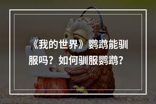 《我的世界》鹦鹉能驯服吗？如何驯服鹦鹉？