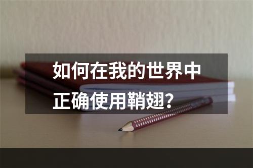 如何在我的世界中正确使用鞘翅？