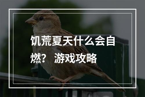 饥荒夏天什么会自燃？ 游戏攻略