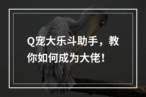 Q宠大乐斗助手，教你如何成为大佬！