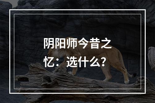 阴阳师今昔之忆：选什么？