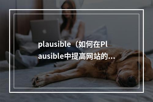 plausible（如何在Plausible中提高网站的分析数据？）