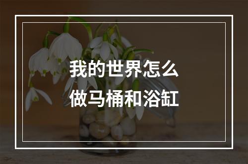 我的世界怎么做马桶和浴缸