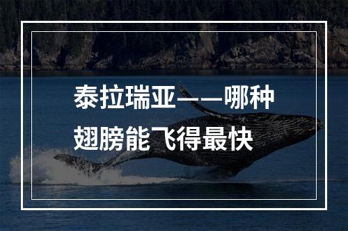 泰拉瑞亚——哪种翅膀能飞得最快