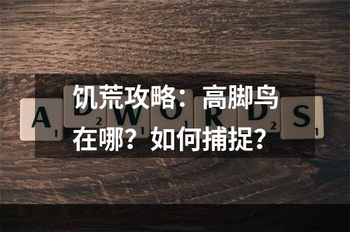 饥荒攻略：高脚鸟在哪？如何捕捉？