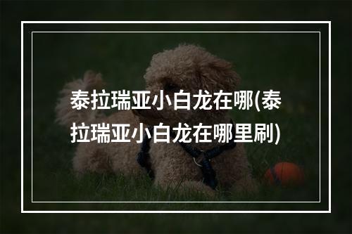 泰拉瑞亚小白龙在哪(泰拉瑞亚小白龙在哪里刷)