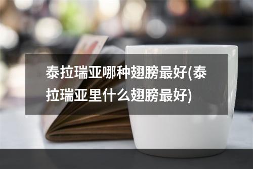 泰拉瑞亚哪种翅膀最好(泰拉瑞亚里什么翅膀最好)