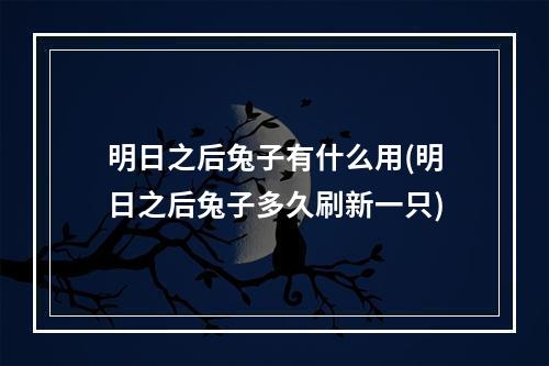 明日之后兔子有什么用(明日之后兔子多久刷新一只)