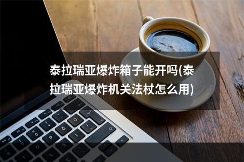 泰拉瑞亚爆炸箱子能开吗(泰拉瑞亚爆炸机关法杖怎么用)