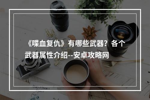 《喋血复仇》有哪些武器？各个武器属性介绍--安卓攻略网