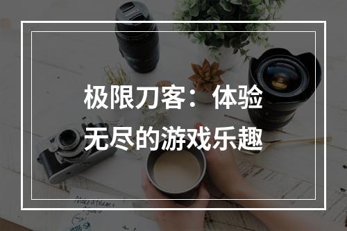 极限刀客：体验无尽的游戏乐趣