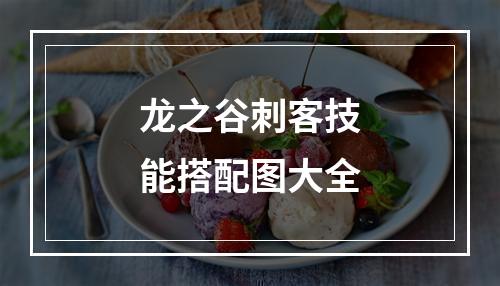 龙之谷刺客技能搭配图大全