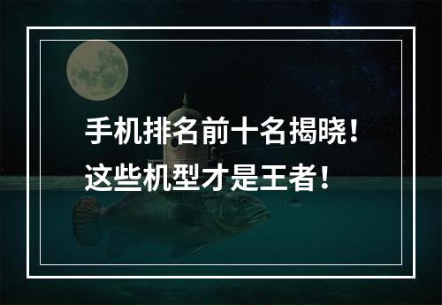 手机排名前十名揭晓！这些机型才是王者！