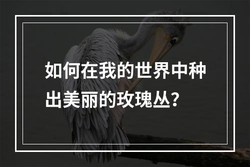 如何在我的世界中种出美丽的玫瑰丛？