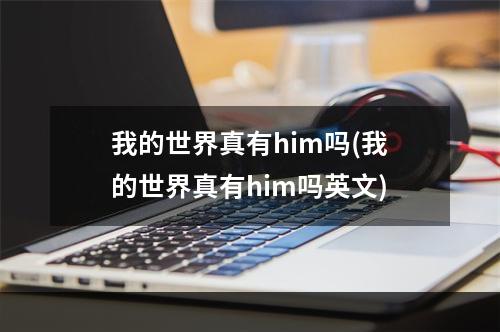 我的世界真有him吗(我的世界真有him吗英文)