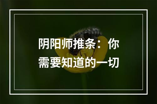 阴阳师推条：你需要知道的一切