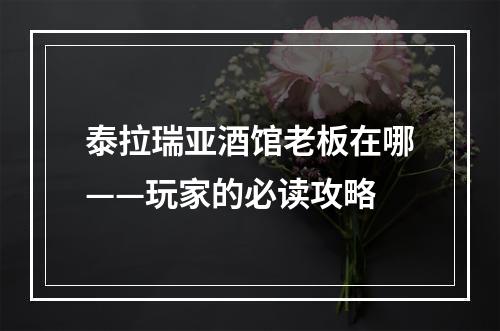 泰拉瑞亚酒馆老板在哪——玩家的必读攻略