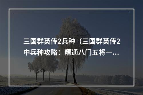 三国群英传2兵种（三国群英传2中兵种攻略：精通八门五将一军）