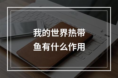 我的世界热带鱼有什么作用