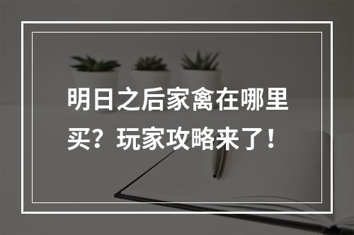 明日之后家禽在哪里买？玩家攻略来了！