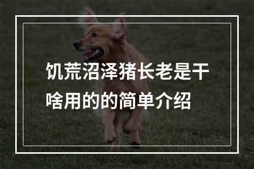 饥荒沼泽猪长老是干啥用的的简单介绍