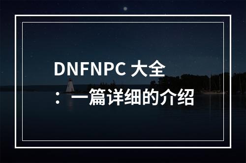 DNFNPC 大全：一篇详细的介绍