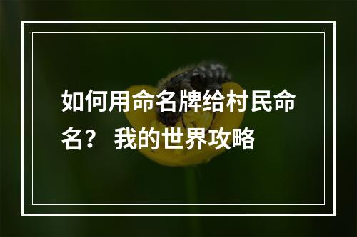 如何用命名牌给村民命名？ 我的世界攻略