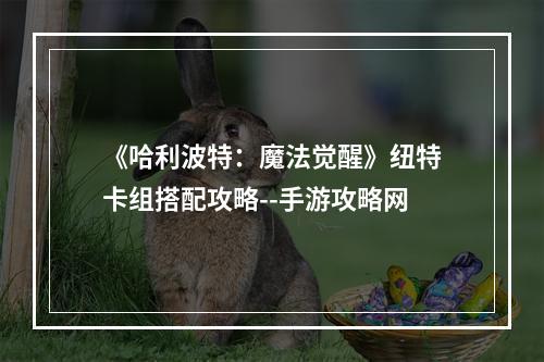 《哈利波特：魔法觉醒》纽特卡组搭配攻略--手游攻略网