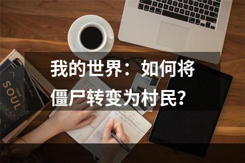 我的世界：如何将僵尸转变为村民？