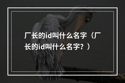 厂长的id叫什么名字（厂长的id叫什么名字？）