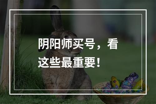 阴阳师买号，看这些最重要！