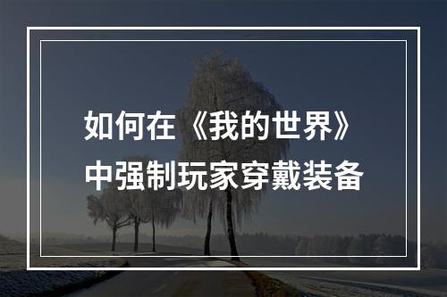 如何在《我的世界》中强制玩家穿戴装备