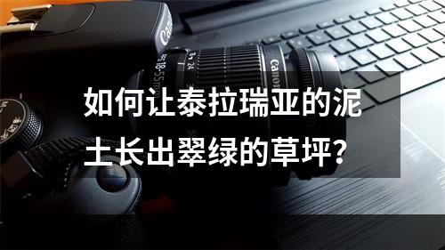 如何让泰拉瑞亚的泥土长出翠绿的草坪？