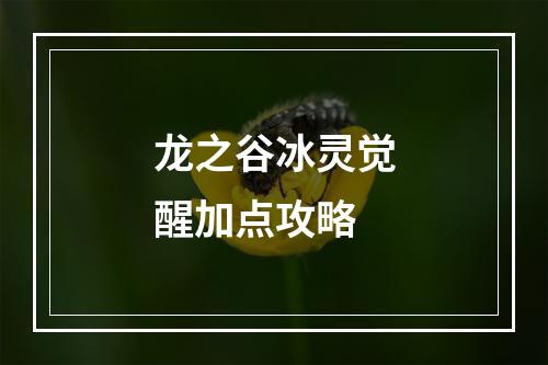 龙之谷冰灵觉醒加点攻略