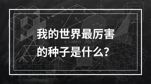 我的世界最厉害的种子是什么？