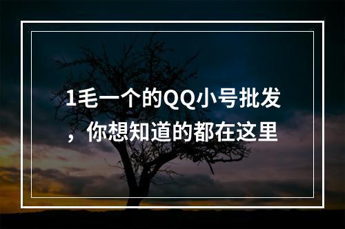 1毛一个的QQ小号批发，你想知道的都在这里