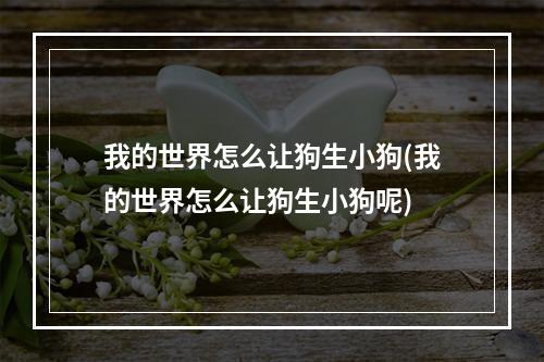 我的世界怎么让狗生小狗(我的世界怎么让狗生小狗呢)