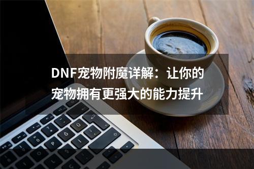 DNF宠物附魔详解：让你的宠物拥有更强大的能力提升