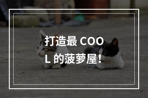 打造最 COOL 的菠萝屋！