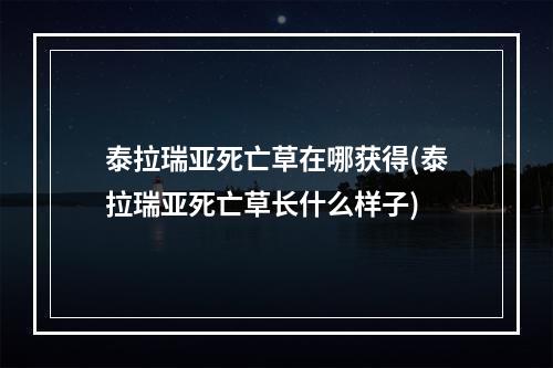 泰拉瑞亚死亡草在哪获得(泰拉瑞亚死亡草长什么样子)