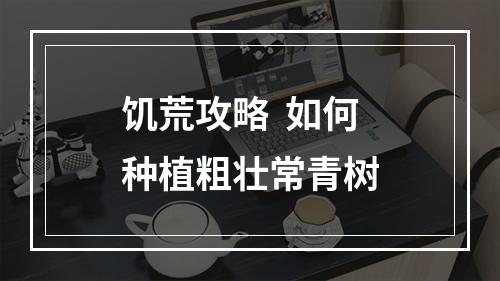 饥荒攻略  如何种植粗壮常青树